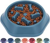 Slow Feeder Dog Bowl No Choking Slo