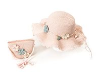 Vritraz Baby Girl's Kids Hat and Pouch Combo Children Cartoon Straw Fashion (Pink) 6-14 Years