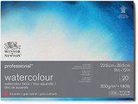 Winsor & Newton Professional Waterc