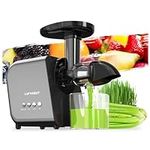 Celery Juicer Machines Easy To Clea
