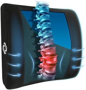 SAMSONITE Cooling Gel Lumbar Support Pillow