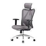 SIHOO Ergonomic Office Chair High B