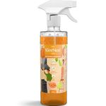 Kleenest Kitchen Cleaner & Degreaser Spray – 450 ml | Powerful Grease Remover | Citrus Fresh | Tough on Oil, Gentle on Surfaces | For Stove, Chimney, Tiles & Countertops
