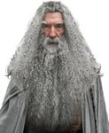 JEGERMIG Grey Wizard Curly Wig and Beard Christmas Funny Cosplay Santa Claus Costume Accessory for Adults