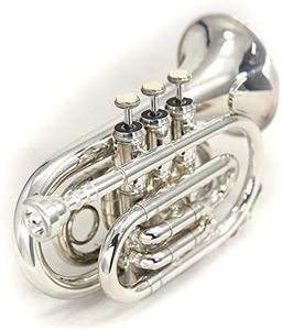 Sky Band Approved Nickel Plated Bb Pocket Trumpet with Case, Cloth, Gloves and Valve Oil, Guarantee Excellent Sound