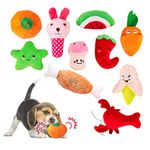 Dog Squeak Toys