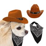 Lopsity Dog Cowboy Hat and Bandana Scarf Dog Cat Hat Dog Costume Dog cat Sombrero Pet Party Cowboy hat for Dog Cat (Coffee)