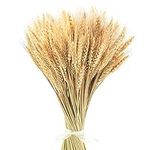 Uieke 17.7 Inches Dried Wheat Stalk