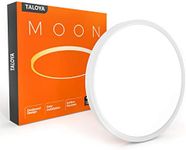 TALOYA Flush Mount 12 Inch Ceiling 