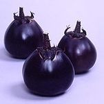 Kamo - Japanese Eggplant Seeds (100