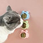 Catnip Toys