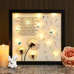 Memorial Gifts LED Shadow Box - Sympathy Gift for Loss of Mother Mom Father Dad, Bereavement Gifts Ideas in Memory of Loved One Gifts, Condolences Rememberance Grief Gifts Funeral, Dandelion Decor