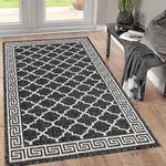 Pauwer Indoor Doormat for Entryway 