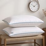 THE WOOD WHITE Basic White Pillow Pack of 2 in 41 x 61 cm with Extra Focus Blue Border & Plush Microfibre Filling