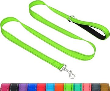 Taglory Dog Leash for Medium Large Dogs, Double-Sided Reflective Leash with Soft Neoprene Padded Handle, 1 inch by 6 ft, Fit Medium Large Breeds 20-150 lbs, Green