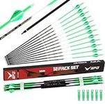 SPG 31 Inch Archery Arrows for Recu