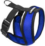 Gooby Comfort X Head In Harness - B