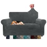 CHELZEN Velvet Couch Covers 2 Seater Thick Stretch Sofa Covers for Dogs Pets Non-Slip Love Seat Couch Slipcover Washable Furniture Protector for Living Room (2 Seater, Gray)