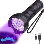 UV Flashlights for Dog Cat