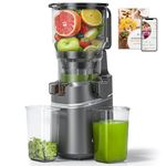 AMZCHEF Cold Press Juicer with 165mm Large Feed Chute, Slow Masticating Juicer for Whole Fruits & Vegetables, Triple Filter, Copper Motor, High Juice Yield, Easy to Clean, Grey