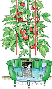 Tomato Booster - Grow The JUICIEST Tomatoes Ever!