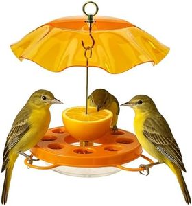 Birds Choi