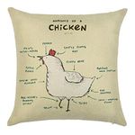 EHOMERY Pillow Covers Standard Size Zippered Cushion For Outdoor Furniture Chicken Silk Throw Pillow Covers Bed Queen Chair Living Room Beige White 16X16 Inches