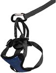 PetSafe Happy Ride Dog Safety Harness for Cars - Dog Car Harness Includes Seat Belt Tether - Keeps Pets Restrained - Breathable Mesh, Adjustable Straps - Dog Travel Accessories for Car - Small