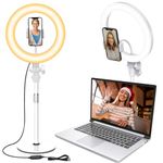 Selfie Ring Light with Stand for Laptop, 10.5'' Desk Ringlight Video Conference Lighting with Phone Holder, Webcam Ring Light for Makeup/Video Recording/Zoom Meeting/Live Streaming/YouTube/Tiktok