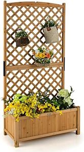 Giantex Pl