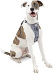 Kurgo Dog Harness | Pet Walking Harness | No Pull Harness Front Clip Feature for Training Included | Car Seat Belt | Tru-Fit Quick Release Style | Medium | Grey