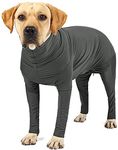 Hazmat Suit For Dogs