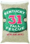 Barenbrug Kentucky 31 Tall Fescue Grass Seed 1000 Sq. Ft. Polybagged 5 Lb.