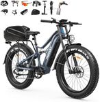 FREESKY 3500W BAFANG Motor Electric