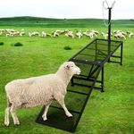 Proshine Livestock Trimming Stand with a Ramp 47 * 23” Goat Stand Goat Milking Stand Adjustable Height 20” to 31” Sheep Stand with Headpiece and Nose Loop for Sheep Lambs Goats Metal Livestock Stand