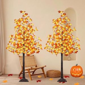 2 Pack 5FT