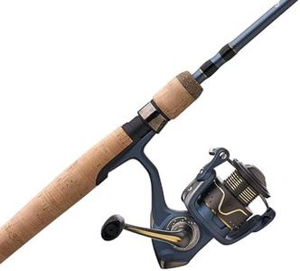 Pflueger 6