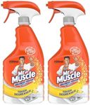 Mr Muscle Advanced Power Kitchen Cleaner Stainless Steel Tough Degreaser Citrus Scent 750ml 2 Pack with Welari Thank You Card | 2 Pack | 2 x 750ml