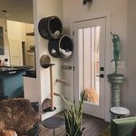 Set of 2 Circular Cat Houses | Stylish Cat Wall Shelves | Wall Tree | Gift for Pet Lovers | Durable and Space-Saving for Cats