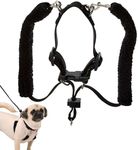 Sporn Original Training Dog Halter Black Medium