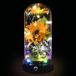 Birthday Gifts for Women, Artificial Sunflower in Glass Dome, Light Up Flower is Unusual Sunflower Gifts for Women/Mum/Wife/Her on Valentines Day Mothers Day Anniversary Birthday Christmas Xmas