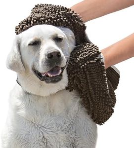 Soggy Dogg