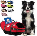 Paws Aboard PAWR1400 Neoprene Designer Doggy Life Jacket, Medium, Red Lifeguard
