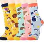 Jeasona Hedgehog Gifts for Women Socks Cotton Socks Animal Cute Funny Multipack Christmas Gifts for Women