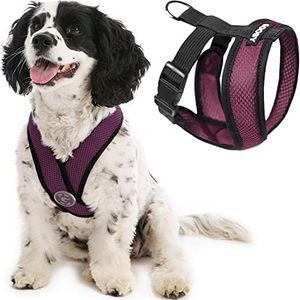 Gooby - Comfort X Head-In Harness, Choke Free Small Dog Harness with Micro Suede Trimming and Patented X Frame, Purple, Medium