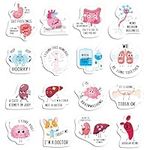 Kanayu 16 Pcs Funny Nursing Fridge Magnets Puns Magnetic Medical Themed Refrigerator Decal Funny Magnets Nurse Accessories for Locker Fridge Whiteboard Office School Student