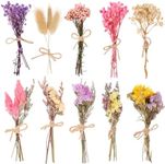 10 Pack Dried Flower Bouquets Various Dried Flower Combinations with Stem Dried Embossing Natural Flower Bundles Artificial Flower Dried Floral Arrangement for Vase DIY Wedding Decor