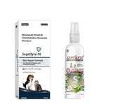 Ringworm Treatment For Dogs