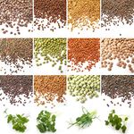 Verdant Republic Organic Sprouting Microgreen Seeds 12 Variety Starter Packs (610g) - Broccoli, Alfalfa, Cress, Red Cabbage, Pea, Rocket, Kale | High Germination to Sprouts & Microgreens