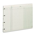 Wilson Jones GN2DA Green End-Balance Ledger Form Paper, Both Sides Alike, Punched for Post Binders, 9-1/4" X 11-7/8", 100 Sheets/Pack